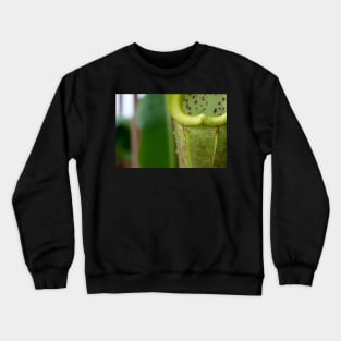 Beautiful carnivorous plant Crewneck Sweatshirt